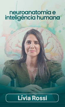 004---NEUROANATOMIA